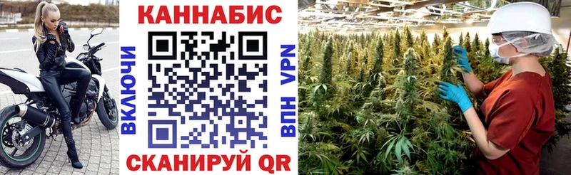 Каннабис гибрид Тарко-Сале